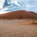 NAM HAR Dune45 2016NOV21 078 : 2016 - African Adventures, Hardap, Namibia, Southern, Africa, Dune 45, 2016, November